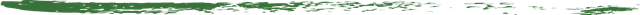 decorative underline